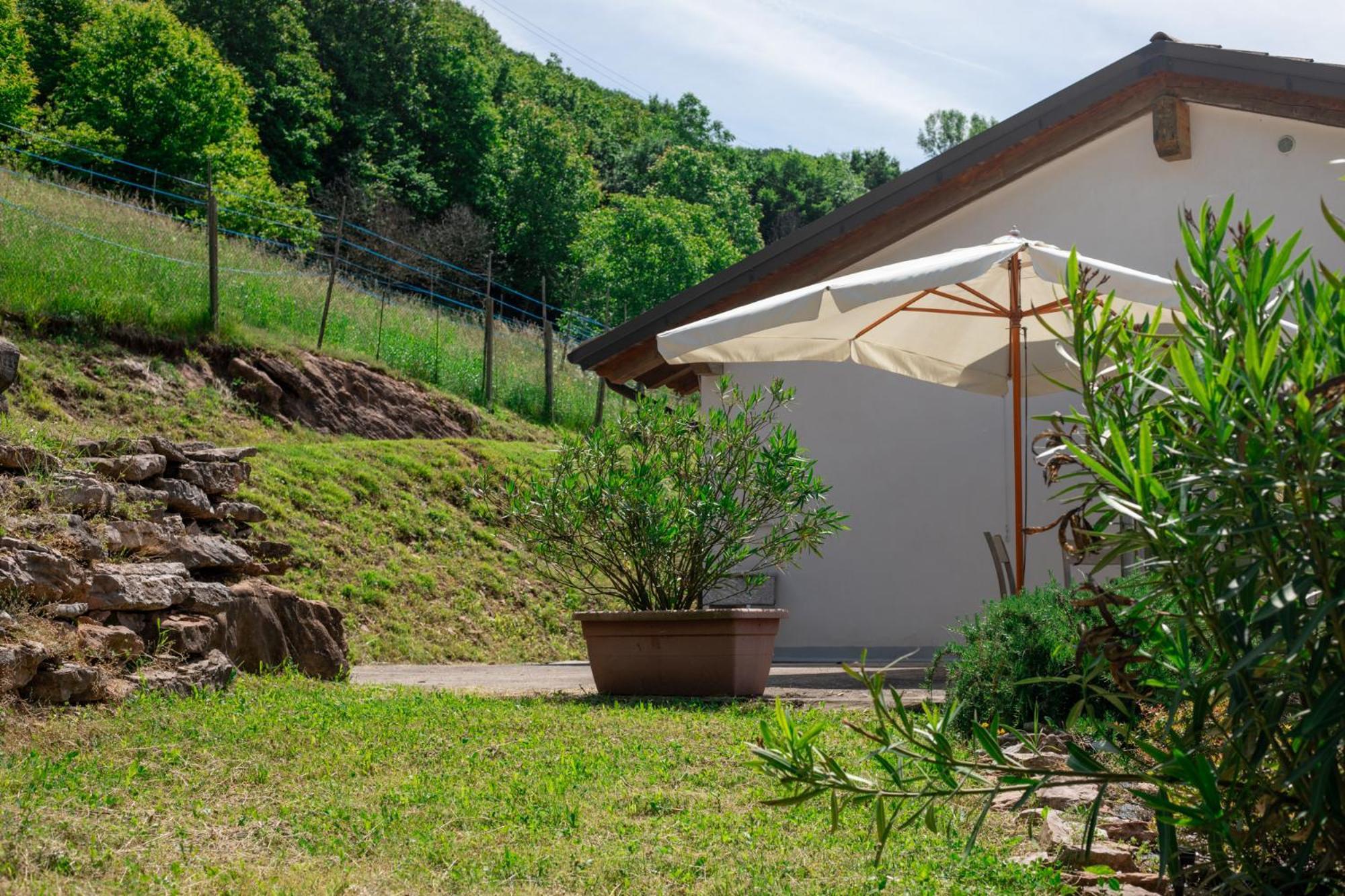 Agriturismo Riva Dei Coz Sequsino Exteriér fotografie