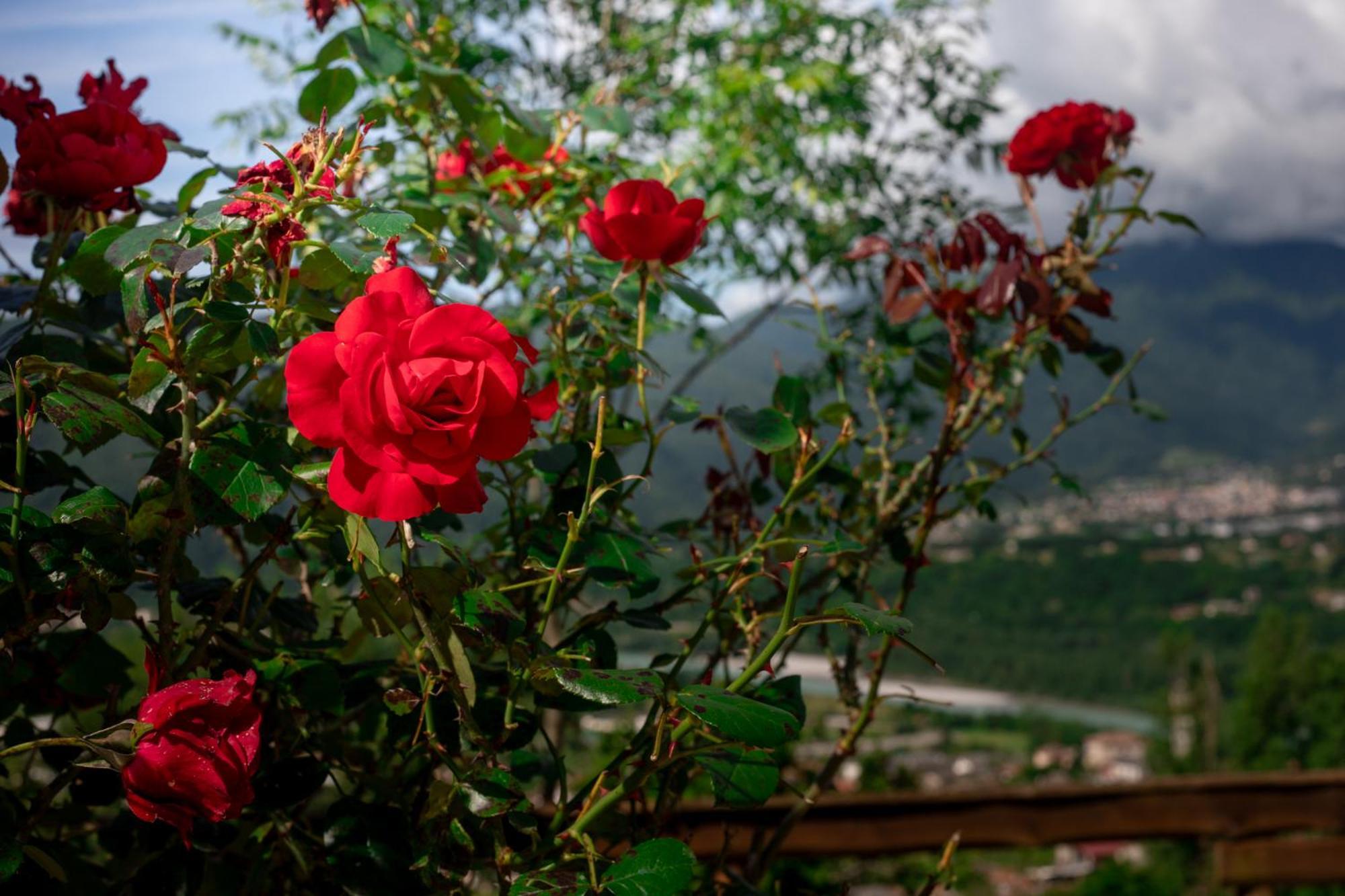 Agriturismo Riva Dei Coz Sequsino Exteriér fotografie